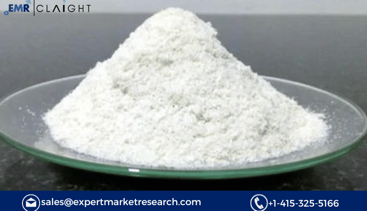 Chitosan Market Report and Forecast 2024-2032: Expanding Applications and Sustainable Growth Prospects